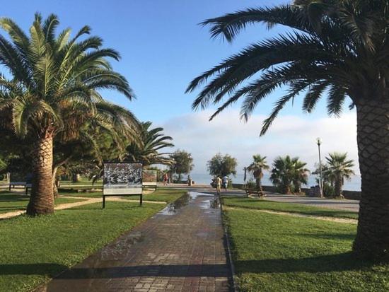 Appartement Avec Piscine Argelès-sur-Mer Buitenkant foto